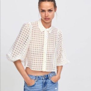 Zara sheer puff sleeve daisy crop blouse